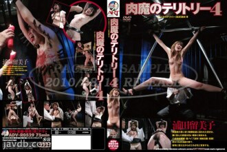 尼古玛的领地 4