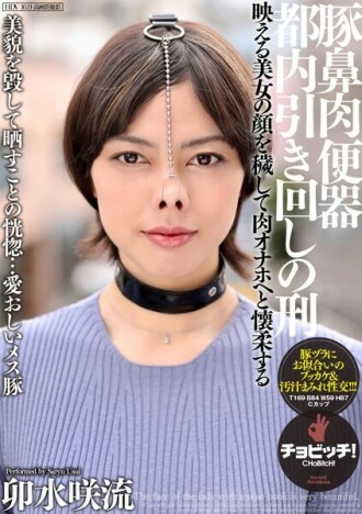 猪鼻肉小便池 东京周边交通句 Saryu Usui 1,020 7