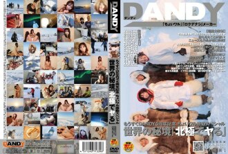 纪念DANDY成立五周年！