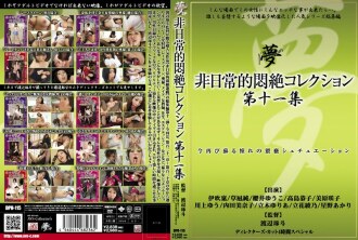 非凡的痛苦收藏第 11 卷