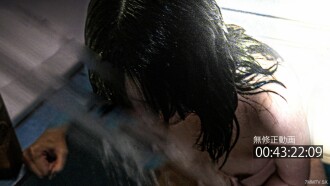 限量500pt已至4/14！