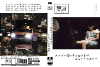 在出租车司机和女顾客单独的车里