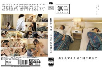 出差与女老板同房2