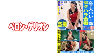 偷窥女子大学排球社性骚扰训练营 File01