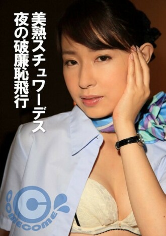 美丽成熟的空姐夜间可耻飞行230 0