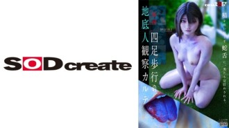 四足地下观察图 安藤春野 1,520 5