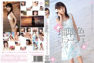 Ruriiro Collage 泽尻彩香